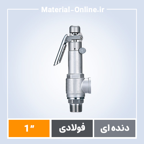 شیر اطمینان دنده ای فولادی 1 اینچ